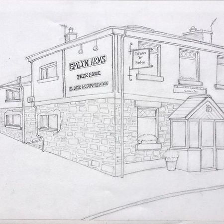 Emlyn Arms Acomodação com café da manhã Llanarthney Exterior foto