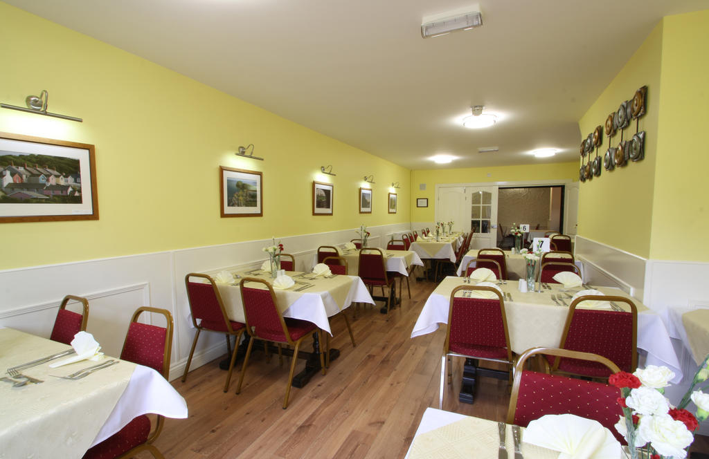 Emlyn Arms Acomodação com café da manhã Llanarthney Exterior foto