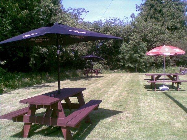 Emlyn Arms Acomodação com café da manhã Llanarthney Exterior foto